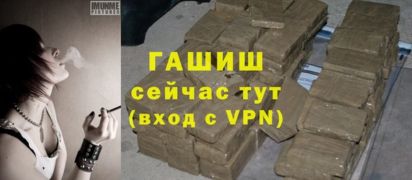 индика Алзамай