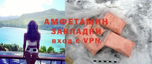 индика Алзамай