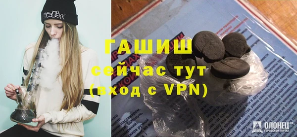 индика Алзамай