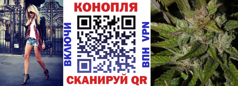 Бошки Шишки White Widow  купить  цена  Когалым 